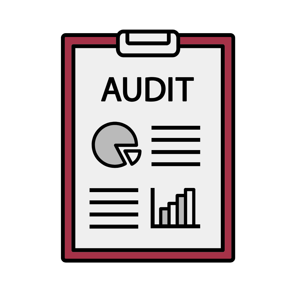 https://anitechgroup.com/au/wp-content/uploads/2023/06/Comprehensive-Audit-Coverage.webp