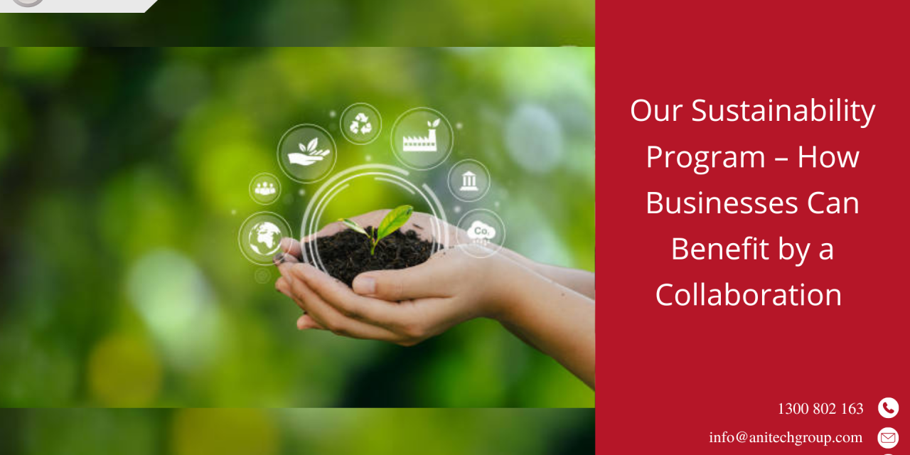 Our Sustainability Program – How Businesses Can Benefit by a Collaboration 