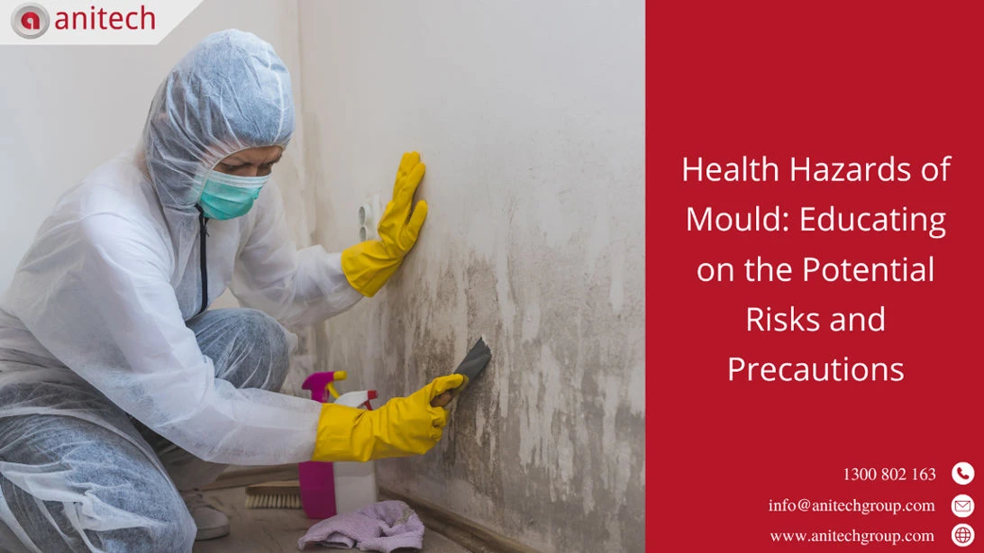 Health Hazards of Mould: Educating on the Potential Risks and Precautions 