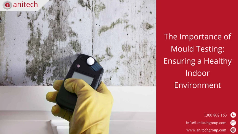 The Importance of Mould Testing: Ensuring a Healthy Indoor Environment 