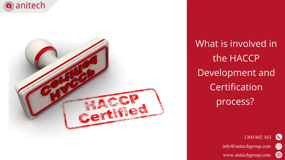 What is involved in the HACCP Development and Certification process? 