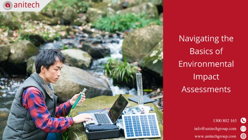 Navigating the Basics of Environmental Impact Assessments