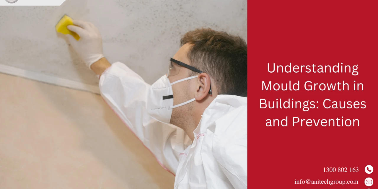 Understanding Mould Growth in Buildings: Causes and Prevention